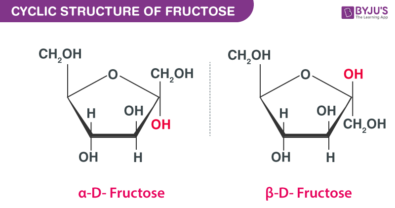 CYCLIC STRUCTURE OF FRUCTOSE
BYJU'S
The Learning App
CH,OH
CH,OH
CH,OH
OH
OH
OH
H
H.
ОН
CH,OH
OH
ОН
H
a-D- Fructose
B-D- Fructose
