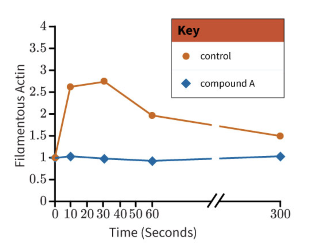 4.
Key
3.5-
control
3-
compound A
2.5-
1.5-
1.
0.5-
0 10 20 30 40 50 60
300
Time (Seconds)
Filamentous Actin
2N
