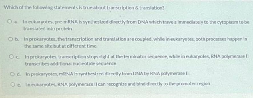 Which of the following statements is true about transcription & translation?
Oa In eukaryotes, pre MRNA is synthesized directly from DNA which travels immediately to the cytoplasm to be
translated into protein
Ob. In prokaryotes, the transcription and translation are coupled, whle in eukaryotes, both processes happen in
the same site but at different time
Oc In prokaryotes, transcription stops right at the terminator sequence, while in eukaryotes, RNA polymerase II
transcribes additional nucleotide sequence
Od. In prokaryotes, MRNA issynthesized directly from DNA by RNA polymerase lII
Oe Ineukaryotes, RNA polymerase Il can recognize and bind directly to the promoter region
