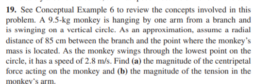 19. See Conceptual Example 6 to review the concepts involved in this
problem. A 9.5-kg monkey is hanging by one arm from a branch and
is swinging on a vertical circle. As an approximation, assume a radial
distance of 85 cm between the branch and the point where the monkey's
mass is located. As the monkey swings through the lowest point on the
circle, it has a speed of 2.8 m/s. Find (a) the magnitude of the centripetal
force acting on the monkey and (b) the magnitude of the tension in the
monkey's arm.
