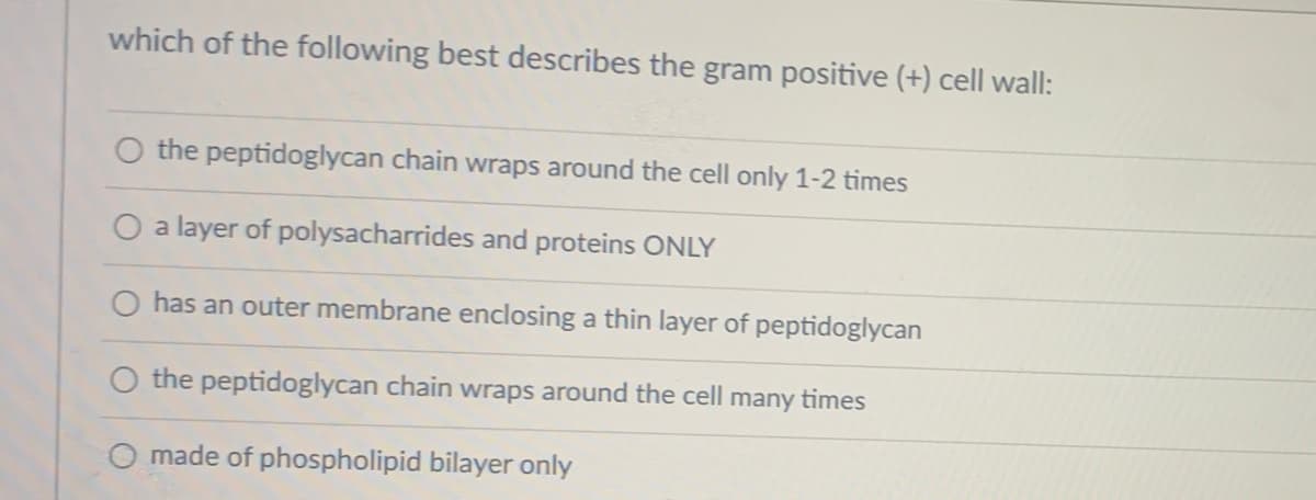 which of the following best describes the gram positive (+) cell wall:
O the peptidoglycan chain wraps around the cell only 1-2 times
O a layer of polysacharrides and proteins ONLY
has an outer membrane enclosing a thin layer of peptidoglycan
O the peptidoglycan chain wraps around the cell many times
O made of phospholipid bilayer only
