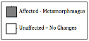 Affected Metamorphmagas
Unaffected - No Changes
