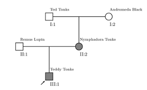 Remus Lupin
II:1
Ted Tonks
I:1
Teddy Tonks
III:1
Andromeda Black
11:2
1:2
Nymphadora Tonks