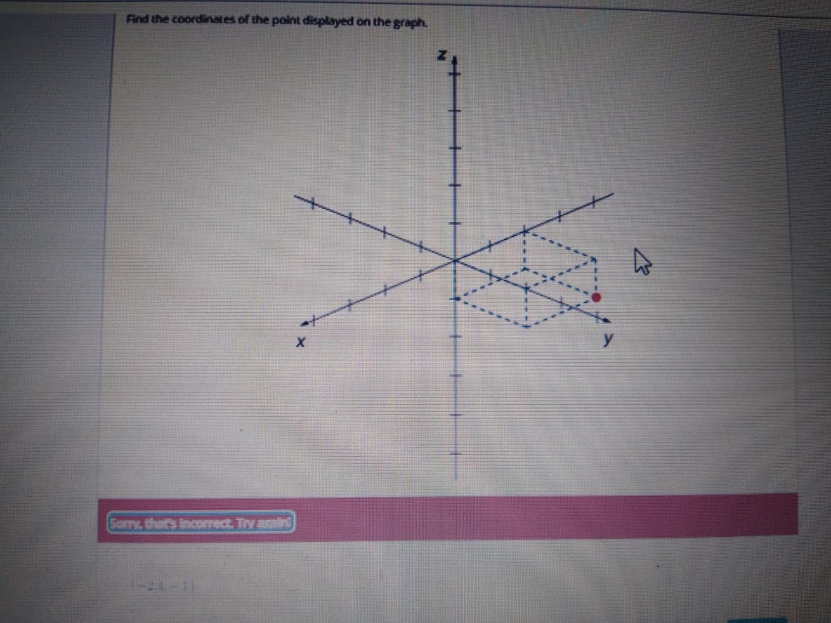 Find the coordinates of the point displayed on the graph.
Som, that's Incomect. Try duzini
