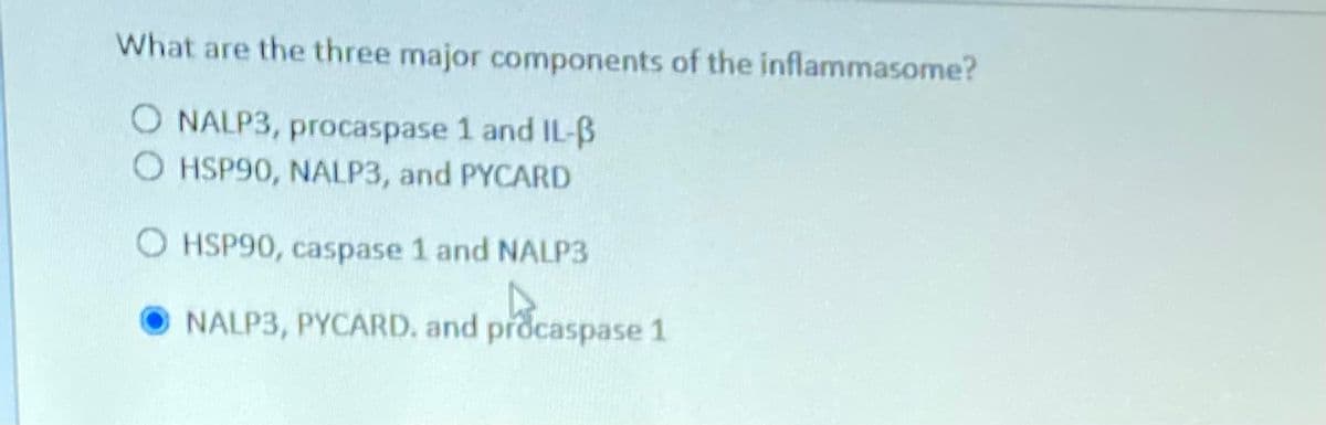 What are the three major components of the inflammasome?
O NALP3, procaspase 1 and IL-B
O HSP90, NALP3, and PYCARD
OHSP90, caspase 1 and NALP3
NALP3, PYCARD. and procaspase 1