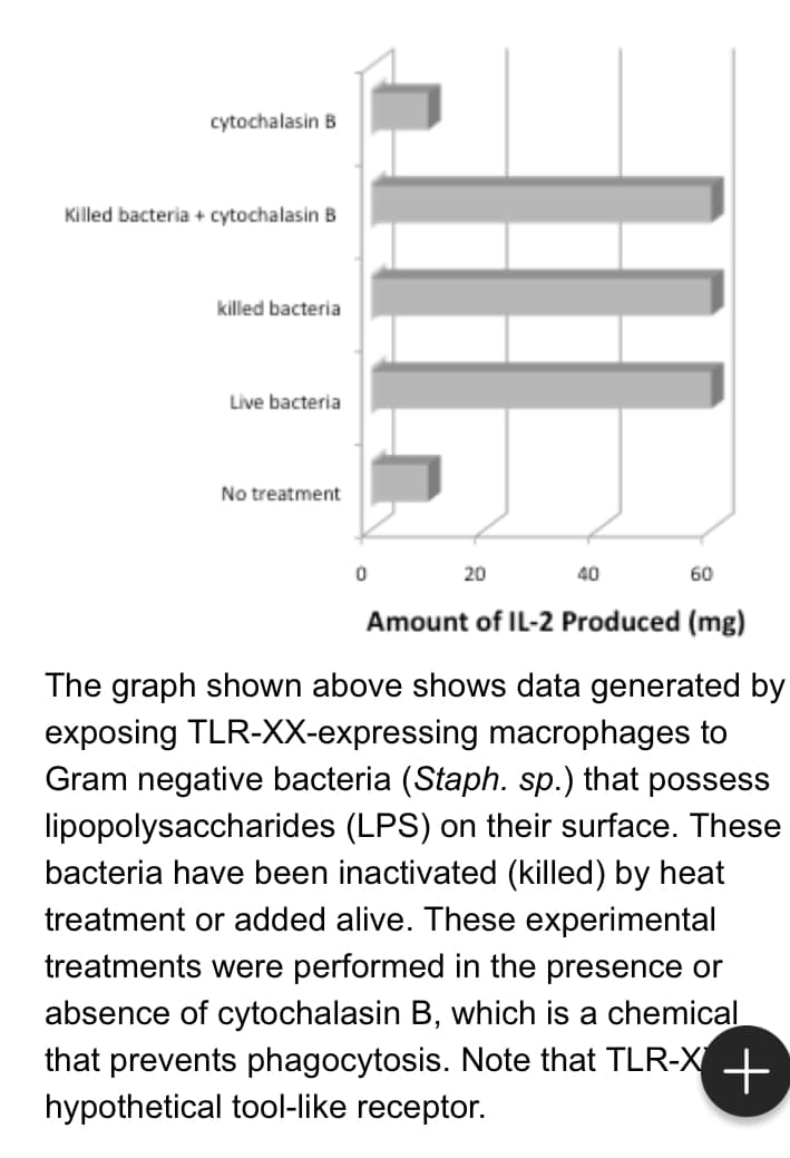 cytochalasin B
Killed bacteria + cytochalasin B
killed bacteria
Live bacteria
No treatment
0
III.
20
40
60
Amount of IL-2 Produced (mg)
The graph shown above shows data generated by
exposing TLR-XX-expressing macrophages to
Gram negative bacteria (Staph. sp.) that possess
lipopolysaccharides (LPS) on their surface. These
bacteria have been inactivated (killed) by heat
treatment or added alive. These experimental
treatments were performed in the presence or
absence of cytochalasin B, which is a chemical
that prevents phagocytosis. Note that TLR-X +
hypothetical tool-like receptor.
