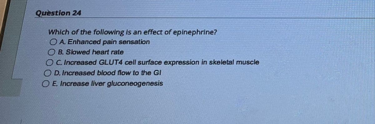 Question 24
Which of the following is an effect of epinephrine?
OA. Enhanced pain sensation
B. Slowed heart rate
OC. Increased GLUT4 cell surface expression in skeletal muscle
D. Increased blood flow to the Gl
E. Increase liver gluconeogenesis