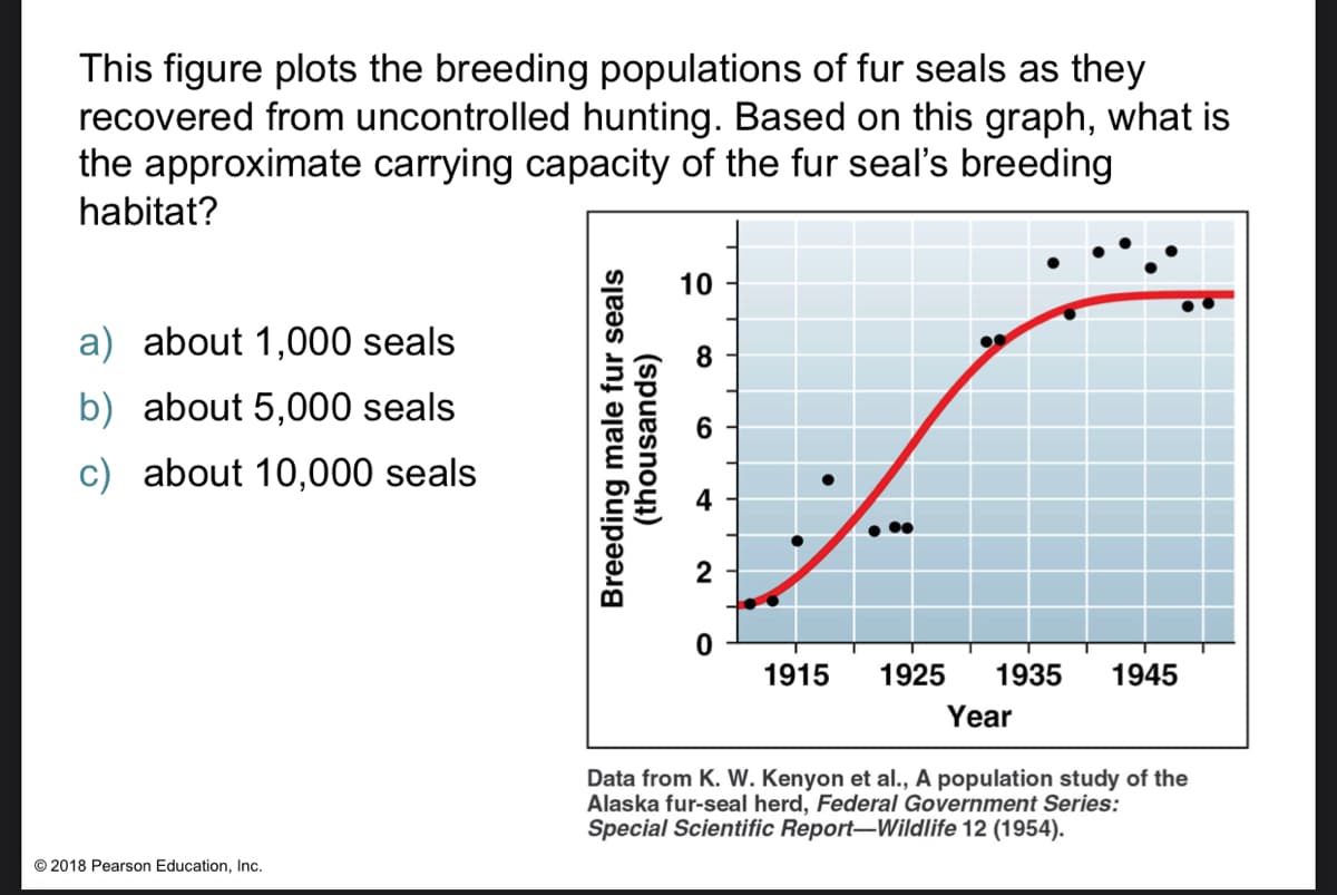 This figure plots the breeding populations of fur seals as they
recovered from uncontrolled hunting. Based on this graph, what is
the approximate carrying capacity of the fur seal's breeding
habitat?
10
a) about 1,000 seals
b) about 5,000 seals
6.
c) about 10,000 seals
1915
1925
1935
1945
Year
Data from K. W. Kenyon et al., A population study of the
Alaska fur-seal herd, Federal Government Series:
Special Scientific Report-Wildlife 12 (1954).
© 2018 Pearson Education, Inc.
Breeding male fur seals
(thousands)
