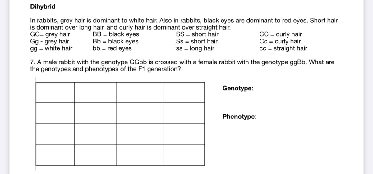 Dihybrid
In rabbits, grey hair is dominant to white hair. Also in rabbits, black eyes are dominant to red eyes. Short hair
is dominant over long hair, and curly hair is dominant over straight hair.
BB = black eyes
Bb = black eyes
bb = red eyes
GG= grey hair
Gg - grey hair
gg = white hair
SS = short hair
Ss = short hair
Ss = long hair
CC = curly hair
Cc = curly hair
cc = straight hair
7. A male rabbit with the genotype GGbb is crossed with a female rabbit with the genotype ggBb. What are
the genotypes and phenotypes of the F1 generation?
Genotype:
Phenotype:
