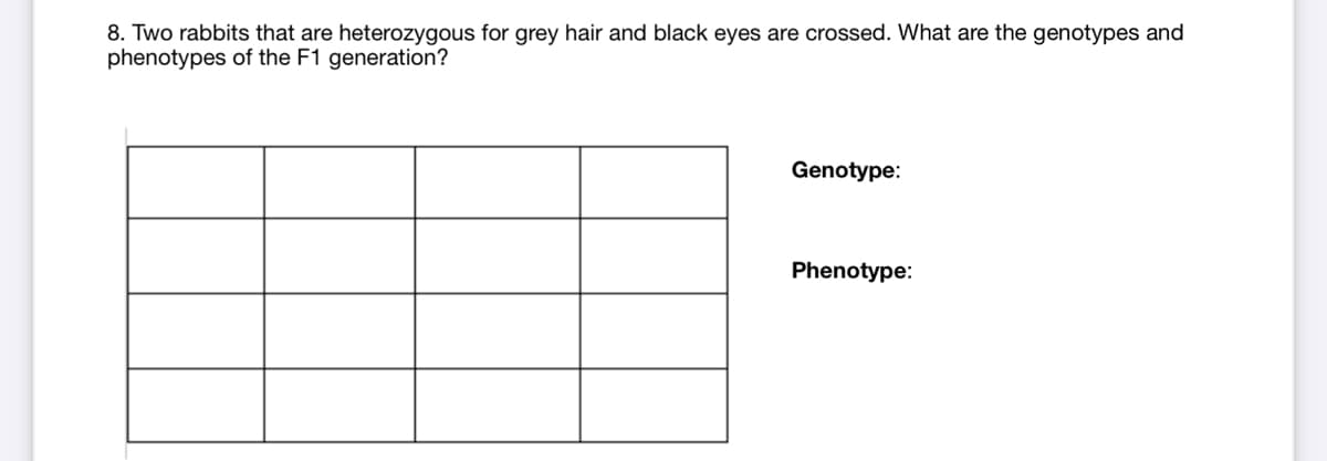 8. Two rabbits that are heterozygous for grey hair and black eyes are crossed. What are the genotypes and
phenotypes of the F1 generation?
Genotype:
Phenotype:
