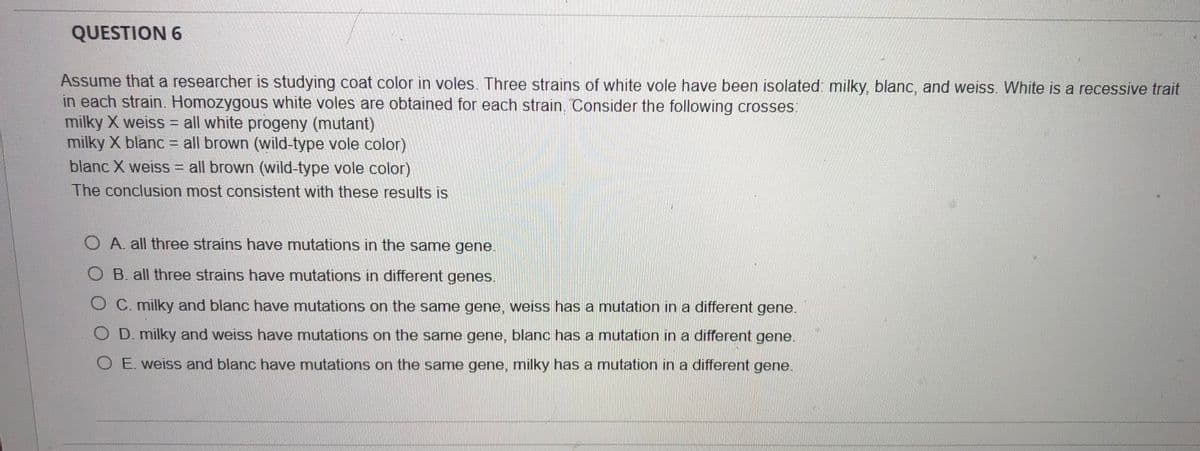 QUESTION 6
Assume that a researcher is studying coat color in voles. Three strains of white vole have been isolated: milky, blanc, and weiss. White is a recessive trait
in each strain. Homozygous white voles are obtained for each strain. Consider the following crosses:
milky X weiss = all white progeny (mutant)
milky X blanc = all brown (wild-type vole color)
blanc X weiss = all brown (wild-type vole color)
The conclusion most consistent with these results is
O A all three strains have mutations in the same gene.
O B. all three strains have mutations in different genes.
OC. milky and blanc have mutations on the same gene, weiss has a mutation in a different gene.
D. milky and weiss have mutations on the same gene, blanc has a mutation in a different gene.
O E. weiss and blanc have mutations on the same gene, milky has a mutation in a different gene.
