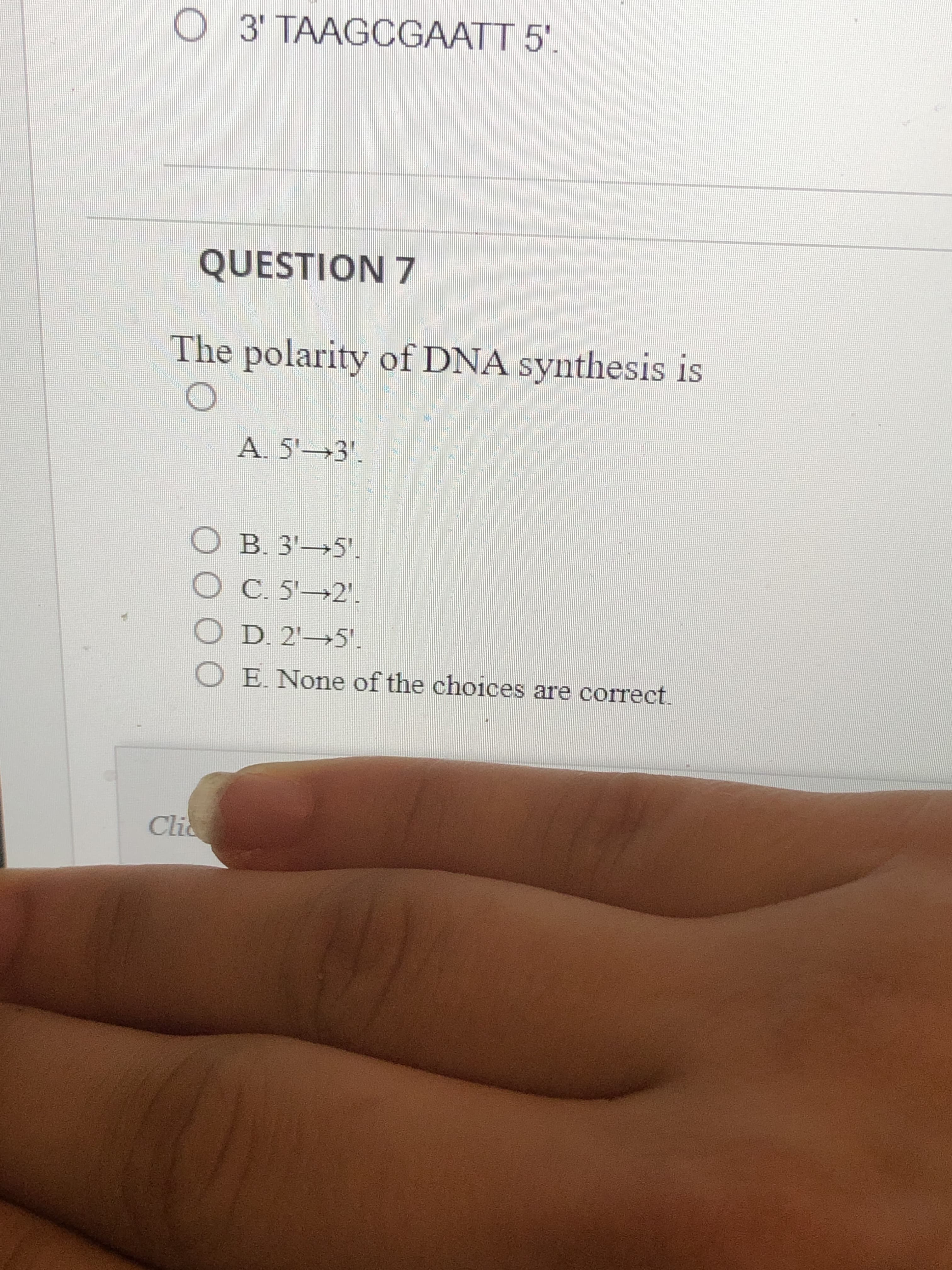 O 3' TAAGCGAATT 5'.
QUESTION 7
The polarity of DNA synthesis is
A. 5'→3'.
O B. 3' 5'.
OC. 5 2'.
OD. 2' 5'.
O E.None of the choices are correct.
