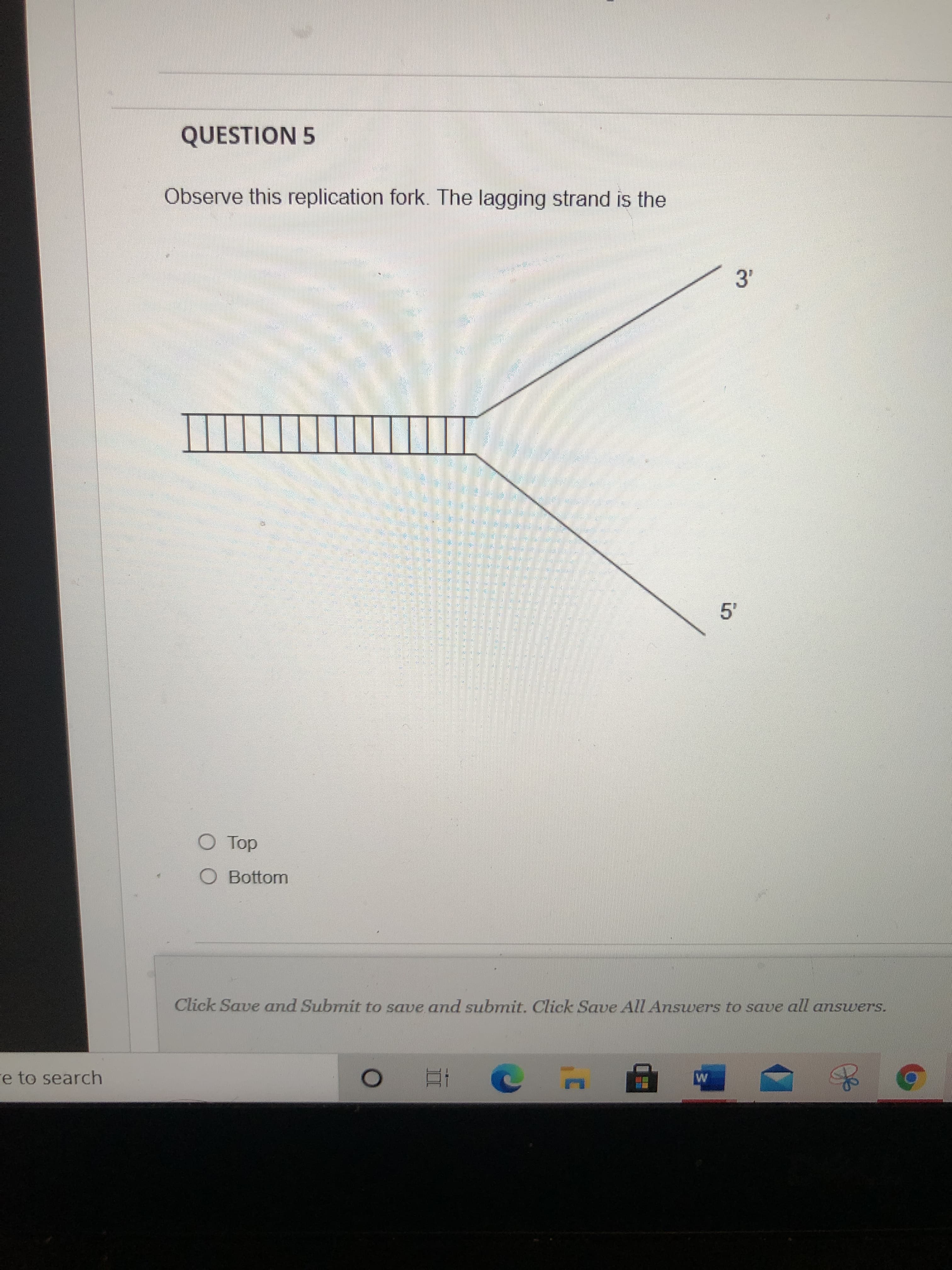 QUESTION 5
Observe this replication fork. The lagging strand is the
O Top
O Bottom
Click Save and Subrnit to save and submit. Click Save All Answers to save all answers.
e to search

