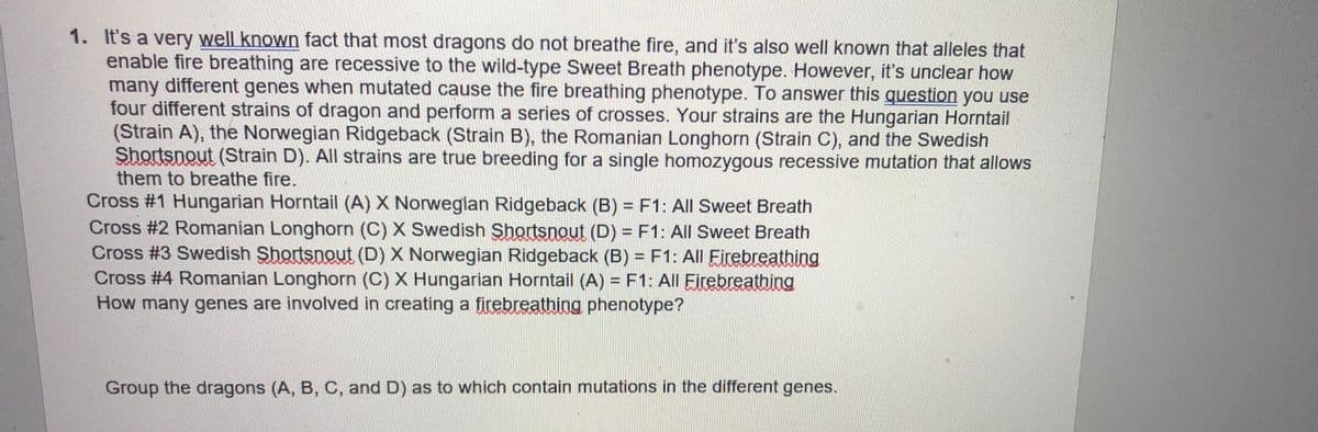 1. It's a very well known fact that most dragons do not breathe fire, and it's also well known that alleles that
enable fire breathing are recessive to the wild-type Sweet Breath phenotype. However, it's unclear how
many different genes when mutated cause the fire breathing phenotype. To answer this question you use
four different strains of dragon and perform a series of crosses. Your strains are the Hungarian Horntail
(Strain A), the Norwegian Ridgeback (Strain B), the Romanian Longhorn (Strain C), and the Swedish
Shortsnout (Strain D). All strains are true breeding for a single homozygous recessive mutation that allows
them to breathe fire.
Cross #1 Hungarian Horntail (A) X Norwegian Ridgeback (B) = F1: All Sweet Breath
Cross #2 Romanian Longhorn (C) X Swedish Shortsnout (D) = F1: All Sweet Breath
Cross #3 Swedish Shortsnout (D) X Norwegian Ridgeback (B) = F1: All Firebreathing
Cross #4 Romanian Longhorn (C) X Hungarian Horntail (A) = F1: All Firebreathing
How many genes are involved in creating a firebreathing phenotype?
Group the dragons (A, B, C, and D) as to which contain mutations in the different genes.

