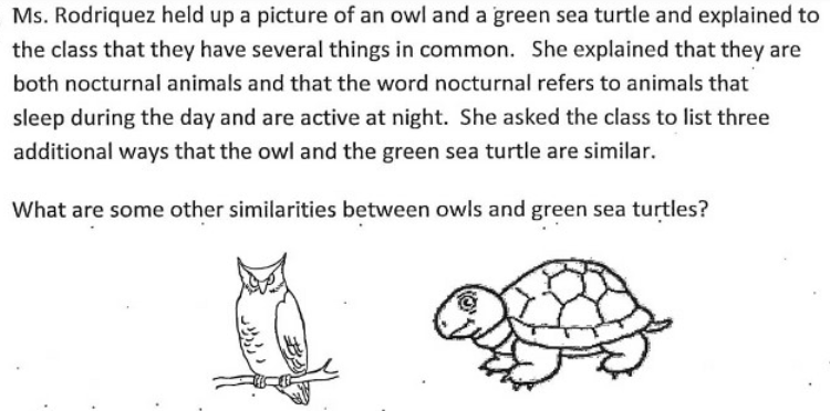 Ms. Rodriquez held up a picture of an owl and a green sea turtle and explained to
the class that they have several things in common. She explained that they are
both nocturnal animals and that the word nocturnal refers to animals that
sleep during the day and are active at night. She asked the class to list three
additional ways that the owl and the green sea turtle are similar.
What are some other similarities between owls and green sea turtles?

