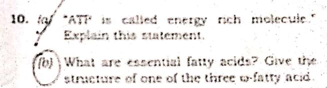 10. taf *ATY is called energy rch melecule "
Explain this satement.
(fo)What are essentiai fatty acids? Give the
structure of one of the three o-fatty acid.
