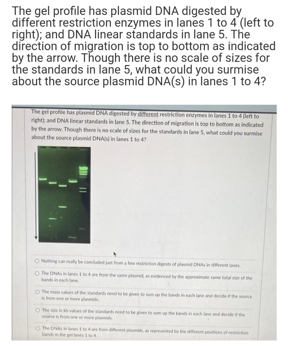 The gel profile has plasmid DNA digested by
different restriction enzymes in lanes 1 to 4 (left to
right); and DNA linear standards in lane 5. The
direction of migration is top to bottom as indicated
by the arrow. Though there is no scale of sizes for
the standards in lane 5, what could you surmise
about the source plasmid DNA(s) in lanes 1 to 4?
The gel profile has plasmid DNA digested by different restriction enzymes in lanes 1 to 4 (left to
right); and DNA linear standards in lane 5. The direction of migration is top to bottom as indicated
by the arrow. Though there is no scale of sizes for the standards in lane 5, what could you surmise
about the source plasmid DNA(s) in lanes 1 to 4?
O Nothing can really be concluded just from a few restriction digests of plasmid DNAS in different lanes.
O The DNAS in lanes 1 to 4 are from the same plasmid, as evidenced by the approximate same total size of the
bands in each lane.
O The mass values of the standards need to be given to sum up the bands in each lane and decide if the source
is from one or more plasmids.
O The size in kb values of the standards need to be given to sum up the bands in each lane and decide if the
source is from one or more plasmids.
O The DNAS in lanes 1 to 4 are from different plasmids, as represented by the different positions of restriction
bands in the gel lanes 1 to 4.
