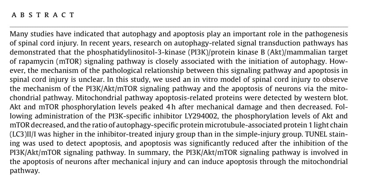 A B S T R A C T
Many studies have indicated that autophagy and apoptosis play an important role in the pathogenesis
of spinal cord injury. In recent years, research on autophagy-related signal transduction pathways has
demonstrated that the phosphatidylinositol-3-kinase (PI3K)/protein kinase B (Akt)/mammalian target
of rapamycin (mTOR) signaling pathway is closely associated with the initiation of autophagy. How-
ever, the mechanism of the pathological relationship between this signaling pathway and apoptosis in
spinal cord injury is unclear. In this study, we used an in vitro model of spinal cord injury to observe
the mechanism of the PI3K/Akt/mTOR signaling pathway and the apoptosis of neurons via the mito-
chondrial pathway. Mitochondrial pathway apoptosis-related proteins were detected by western blot.
Akt and mTOR phosphorylation levels peaked 4h after mechanical damage and then decreased. Fol-
lowing administration of the PI3K-specific inhibitor LY294002, the phosphorylation levels of Akt and
MTOR decreased, and the ratio of autophagy-specific protein microtubule-associated protein 1 light chain
(LC3)II/I was higher in the inhibitor-treated injury group than in the simple-injury group. TUNEL stain-
ing was used to detect apoptosis, and apoptosis was significantly reduced after the inhibition of the
PI3K/Akt/mTOR signaling pathway. In summary, the PI3K/Akt/mTOR signaling pathway is involved in
the apoptosis of neurons after mechanical injury and can induce apoptosis through the mitochondrial
pathway.
