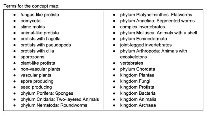 Terms for the concept map:
• fungus-like protista
• oomycota
• slime molds
•
•
animal-like protista
protists with flagella
protists with pseudopods
protists with cilia
sporozoans
plant-like protista
● non-vascular plants
• vascular plants
•
spore producing
seed producing
• phylum Porifera: Sponges
• phylum Cnidaria: Two-layered Animals
phylum Nematoda: Roundworms
• phylum Platyhelminthes: Flatworms
phylum Annelida: Segmented worms
• complex invertebrates
• phylum Mollusca: Animals with a shell
phylum Echinodermata
joint-legged invertebrates
phylum Arthropoda: Animals with
exoskeletons
vertebrates
•
• phylum Chordata
• kingdom Plantae
kingdom Fungi
kingdom Protista
kingdom Bacteria
• kingdom Animalia
• kingdom Archaea