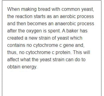 When making bread with common yeast,
the reaction starts as an aerobic process
and then becomes an anaerobic process
after the oxygen is spent. A baker has
created a new strain of yeast which
contains no cytochrome c gene and,
thus, no cytochrome c protein. This will
affect what the yeast strain can do to
obtain energy.
