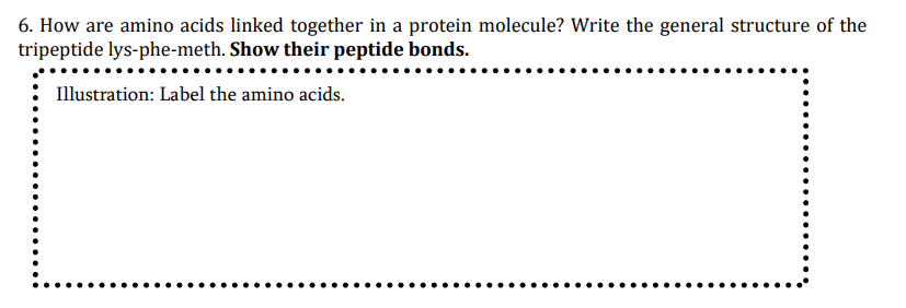 6. How are amino acids linked together in a protein molecule? Write the general structure of the
tripeptide lys-phe-meth. Show their peptide bonds.
Illustration: Label the amino acids.
