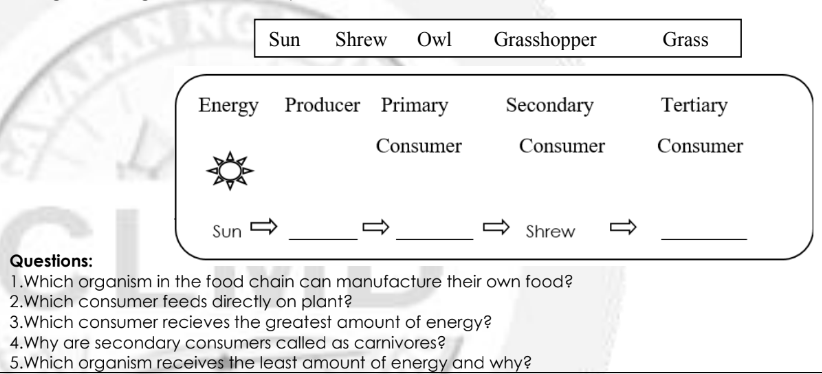 Sun Shrew Owl
Energy Producer Primary
Consumer
Consumer
Sun
Shrew
NOME: 1
Questions:
1.Which organism in the food chain can manufacture their own food?
2.Which consumer feeds directly on plant?
3. Which consumer recieves the greatest amount of energy?
4.Why are secondary consumers called as carnivores?
5.Which organism receives the least amount of energy and why?
ATARA
Grasshopper
Secondary
Grass
Tertiary
Consumer
