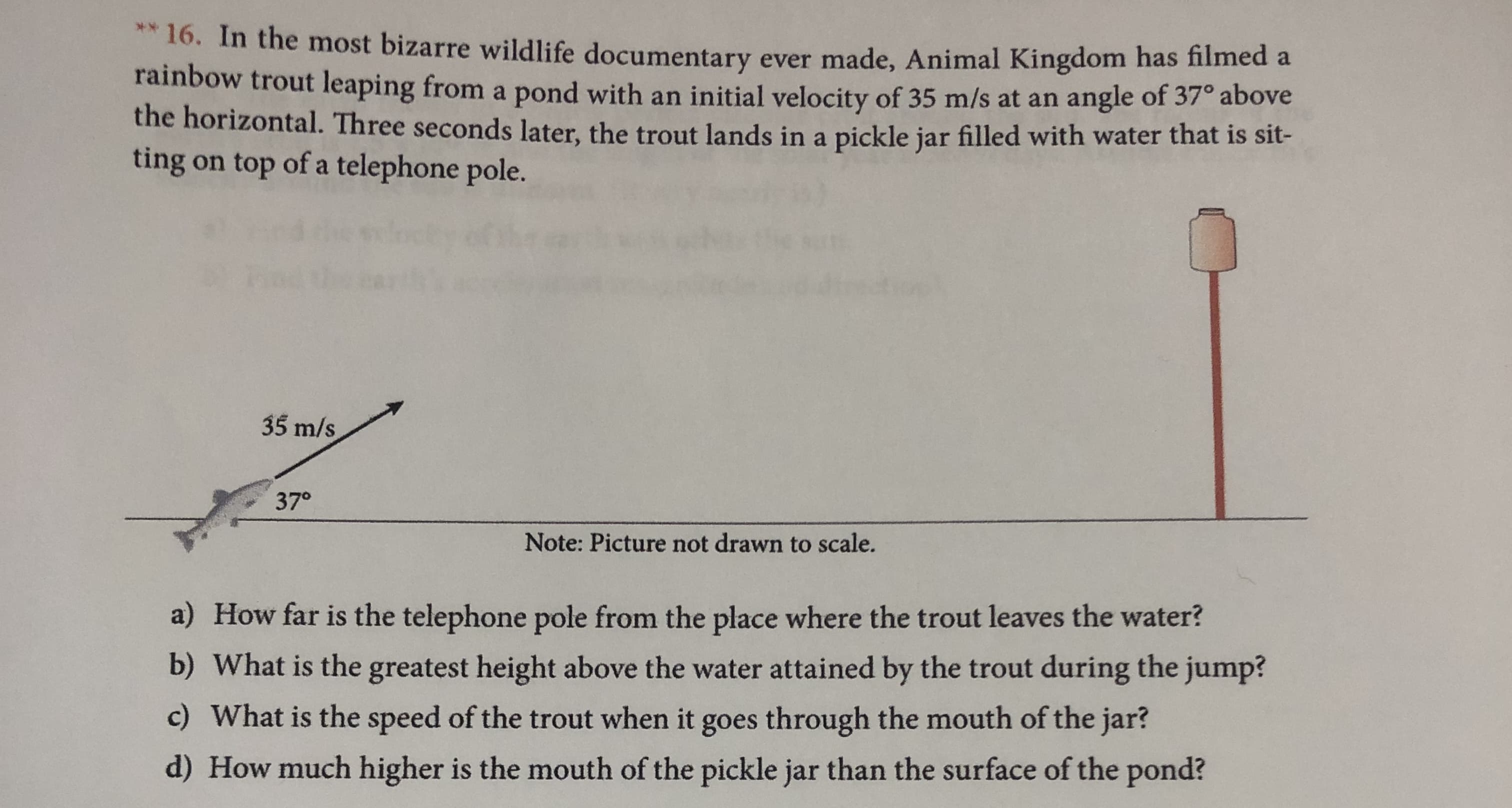 * 16. In the most bizarre wildlife documentary ever made, Animal Kingdom has filmed a
rainbow trout leaping from a pond with an initial velocity of 35 m/s at an
the horizontal. Three seconds later, the trout lands in a pickle jar filled with water that is sit-
ting on top of a telephone pole.
angle of 37° above
35 m/s
37°
Note: Picture not drawn to scale.
a) How far is the telephone pole from the place where the trout leaves the water?
b) What is the greatest height above the water attained by the trout during the jump?
c) What is the speed of the trout when it goes through the mouth of the jar?
d) How much higher is the mouth of the pickle jar than the surface of the pond?
