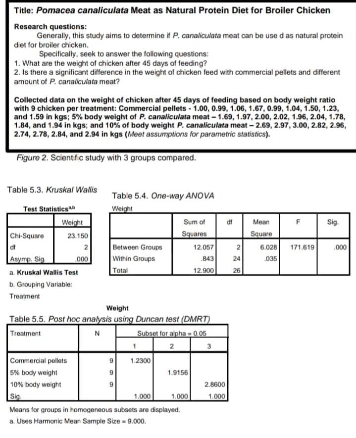 Title: Pomacea canaliculata Meat as Natural Protein Diet for Broiler Chicken
Research questions:
Generally, this study aims to determine if P. canaliculata meat can be used as natural protein
diet for broiler chicken.
Specifically, seek to answer the following questions:
1. What are the weight of chicken after 45 days of feeding?
2. Is there a significant difference in the weight of chicken feed with commercial pellets and different
amount of P. canaliculata meat?
Collected data on the weight of chicken after 45 days of feeding based on body weight ratio
with 9 chicken per treatment: Commercial pellets - 1.00, 0.99, 1.06, 1.67, 0.99, 1.04, 1.50, 1.23,
and 1.59 in kgs; 5% body weight of P. canaliculata meat-1.69, 1.97, 2.00, 2.02, 1.96, 2.04, 1.78,
1.84, and 1.94 in kgs; and 10% of body weight P. canaliculata meat-2.69, 2.97, 3.00, 2.82, 2.96,
2.74, 2.78, 2.84, and 2.94 in kgs (Meet assumptions for parametric statistics).
Figure 2. Scientific study with 3 groups compared.
Table 5.3. Kruskal Wallis
Table 5.4. One-way ANOVA
Test Statistics
Weight
Weight
Sum of
Mean
F
Sig.
Chi-Square
Squares
Square
df
Between Groups
12.057
171.619
Asymp. Sig.
Within Groups
.843
a. Kruskal Wallis Test
Total
12.900
b. Grouping Variable:
Treatment
Weight
Table 5.5. Post hoc analysis using Duncan test (DMRT)
Treatment
N
Subset for alpha=0.05
2
3
Commercial pellets
1.2300
5% body weight
1.9156
10% body weight
2.8600
Sig.
1.000
1.000
1.000
Means for groups in homogeneous subsets are displayed.
a. Uses Harmonic Mean Sample Size = 9.000.
23.150
2
.000
df
2
24
26
6.028
.035
.000