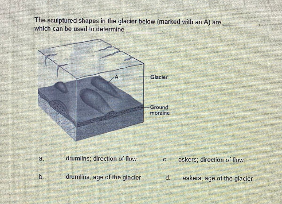 The sculptured shapes in the glacier below (marked with an A) are
which can be used to determine
A
Glacier
Ground
moraine
drumlins, direction of flow
eskers; direction of flow
a.
b.
drumlins; age of the glacier
eskers, age of the glacier
C.
