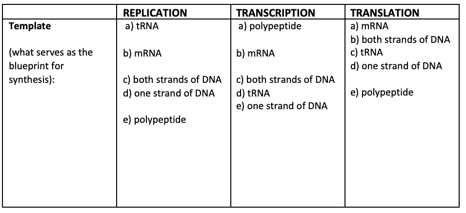 REPLICATION
TRANSCRIPTION
TRANSLATION
a) MRNA
b) both strands of DNA
c) TRNA
d) one strand of DNA
Template
a) TRNA
a) polypeptide
(what serves as the
blueprint for
synthesis):
b) MRNA
b) MRNA
c) both strands of DNA c) both strands of DNA
d) TRNA
e) one strand of DNA
d) one strand of DNA
e) polypeptide
e) polypeptide
