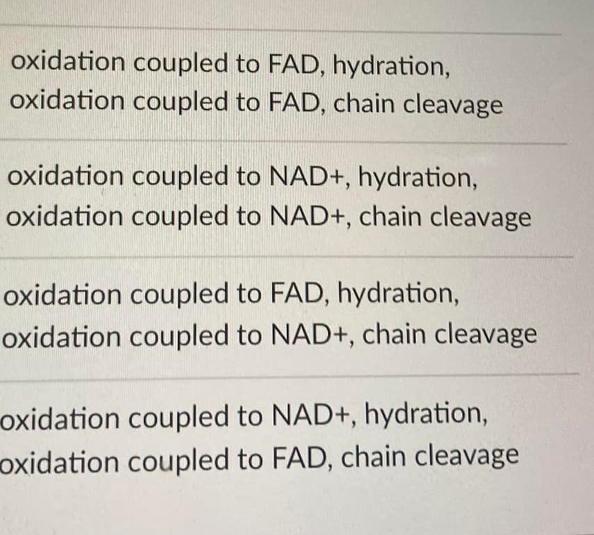 oxidation coupled to FAD, hydration,
oxidation coupled to FAD, chain cleavage
oxidation coupled to NAD+, hydration,
oxidation coupled to NAD+, chain cleavage
oxidation coupled to FAD, hydration,
oxidation coupled to NAD+, chain cleavage
oxidation coupled to NAD+, hydration,
oxidation coupled to FAD, chain cleavage
