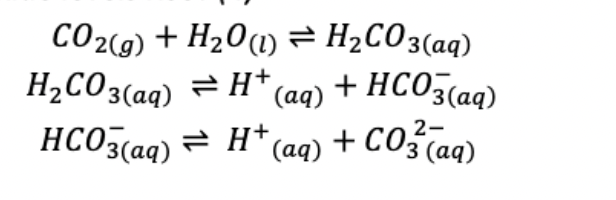 CO2(9) + H20(1) = H2CO3(aq)
H,CO3(aq) = H* (aq) + HCO3(aq)
HC03(aq) = H* (aq)
+ C0%(aq)
2-
'3 (аq)
