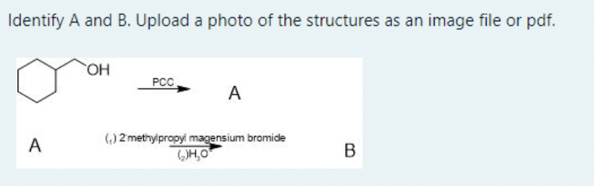 Identify A and B. Upload a photo of the structures as an image file or pdf.
HO.
PCC
A
(,) 2 methylpropyi magensium bromide
(H,0
A
В
