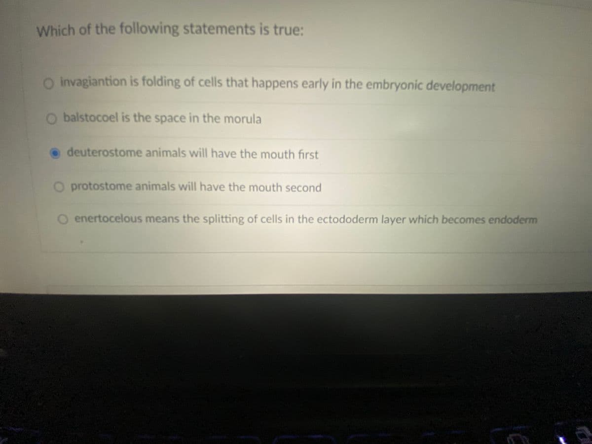 Which of the following statements is true:
O invagiantion is folding of cells that happens early in the embryonic development
O balstocoel is the space in the morula
o deuterostome animals will have the mouth first
O protostome animals will have the mouth second
enertocelous means the splitting of cells in the ectododerm layer which becomes endoderm
