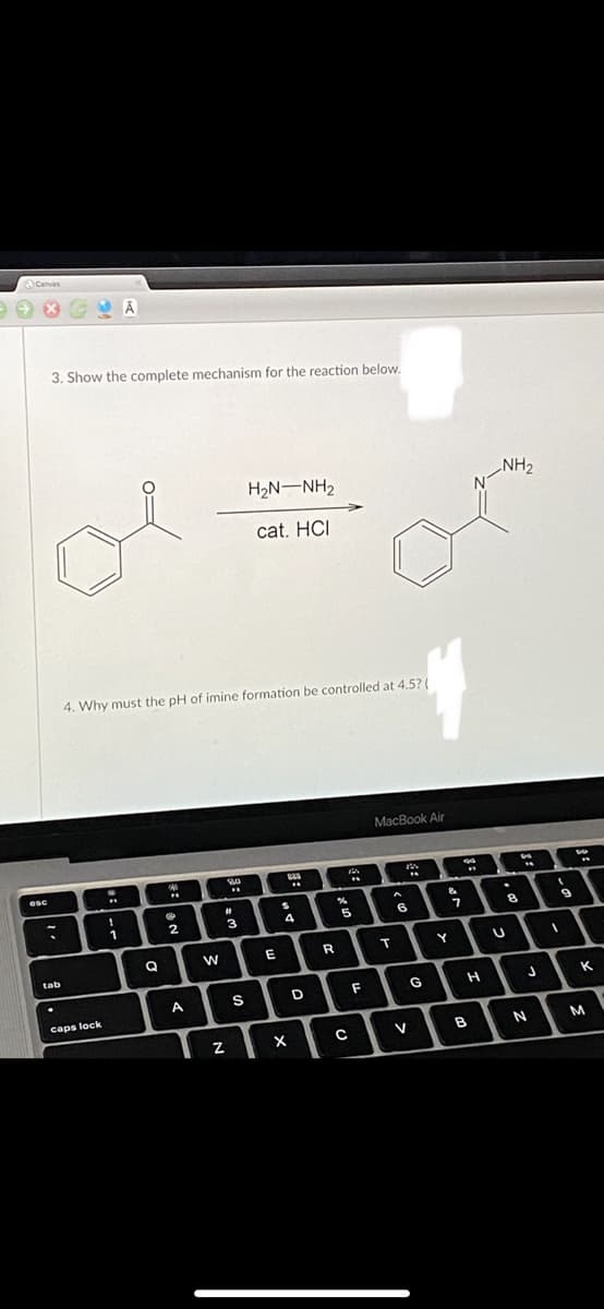 Canvas
3. Show the complete mechanism for the reaction below.
H2N-NH2
NH2
cat. HCI
4. Why must the pH of imine formation be controlled at 4.5?(
MacBook Air
1
6
Q
R
T
tab
D
G
K
caps lock
B
