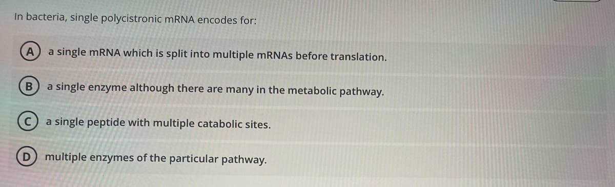 In bacteria, single polycistronic MRNA encodes for:
a single mRNA which is split into multiple mRNAs before translation.
a single enzyme although there are many in the metabolic pathway.
a single peptide with multiple catabolic sites.
multiple enzymes of the particular pathway.
