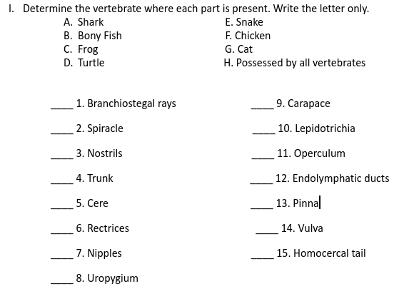 I. Determine the vertebrate where each part is present. Write the letter only.
E. Snake
F. Chicken
A. Shark
В. Bony Fish
C. Frog
G. Cat
D. Turtle
H. Possessed by all vertebrates
1. Branchiostegal rays
9. Carapace
2. Spiracle
10. Lepidotrichia
3. Nostrils
11. Operculum
4. Trunk
12. Endolymphatic ducts
5. Cere
13. Pinnal
6. Rectrices
14. Vulva
7. Nipples
15. Homocercal tail
8. Uropygium
