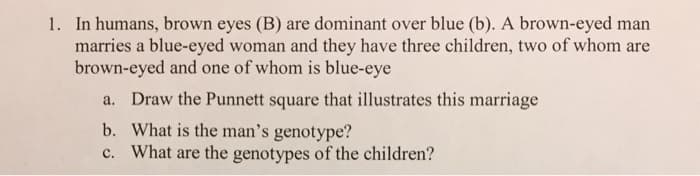 1. In humans, brown eyes (B) are dominant over blue (b). A brown-eyed man
marries a blue-eyed woman and they have three children, two of whom are
brown-eyed and one of whom is blue-eye
a. Draw the Punnett square that illustrates this marriage
b. What is the man's genotype?
c. What are the genotypes of the children?
