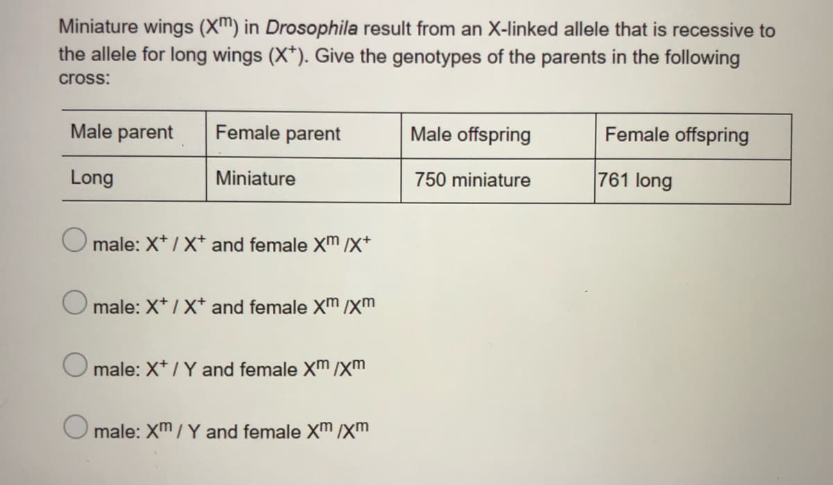 Miniature wings (Xm) in Drosophila result from an X-linked allele that is recessive to
the allele for long wings (X*). Give the genotypes of the parents in the following
cross:
Male parent
Female parent
Male offspring
Female offspring
Long
Miniature
750 miniature
761 long
O male: X* / X* and female X™ /x+
O male: X*/Xt and female Xm /xm
O male: X*/ Y and female Xm /xm
O male: Xm/ Y and female Xm /xm
