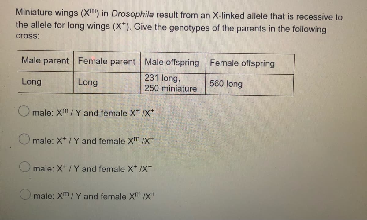 Miniature wings (Xm) in Drosophila result from an X-linked allele that is recessive to
the allele for long wings (X*). Give the genotypes of the parents in the following
cross:
Male parent Female parent Male offspring Female offspring
231 long,
250 miniature
Long
Long
560 long
O male: Xm/Y and female X* /X*
male: X* / Y and female Xm /x
O male: X* /Y and female X* /X*
male: Xm/Y and female Xm /x+
