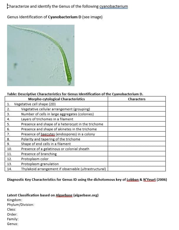 characterize and identify the Genus of the following cyanobacterium
Genus Identification of Cyanobacterium D (see image)
Table: Descriptive Characteristics for Genus Identification of the Cyanobacterium D.
Morpho-cytological Characteristics
Characters
1. Vegetative cell shape (2D)
2.
3.
4.
5.
6.
Presence and shape of a heterocyst in the trichome
Presence and shape of akinetes in the trichome
Presence of baecytes (endospores) in a colony
Polarity and tapering of the trichome
Shape of end cells in a filament
Presence of a gelatinous or colonial sheath
Presence of branching
Protoplasm color
Protoplasm granulation
Thylakoid arrangement if observable (ultrastructural)
Diagnostic Key Characteristics for Genus ID using the dichotomous key of Lobban & N'Yeurt (2006)
7.
8.
9.
10.
11.
12.
13.
14.
Vegetative cellular arrangement (grouping)
Number of cells in large aggregates (colonies)
Layers of trichomes in a filament
Latest Classification based on Algaebase (algaebase.org)
Kingdom:
Phylum/Division:
Class:
Order:
Family:
Genus: