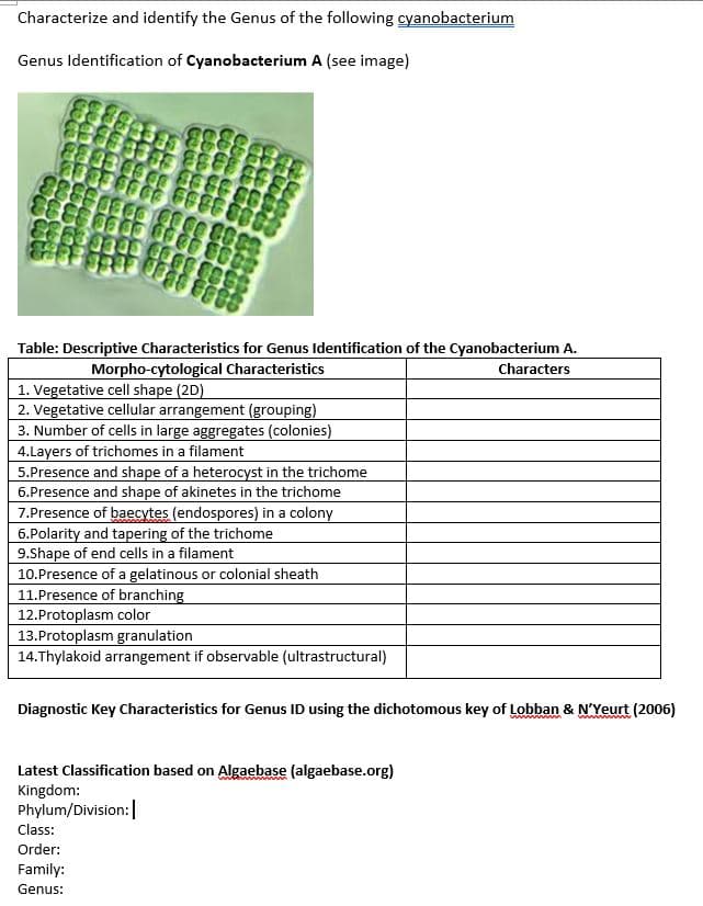 Characterize and identify the Genus of the following cyanobacterium
Genus Identification of Cyanobacterium A (see image)
Table: Descriptive Characteristics for Genus Identification of the Cyanobacterium A.
Morpho-cytological Characteristics
Characters
1. Vegetative cell shape (2D)
2. Vegetative cellular arrangement (grouping)
3. Number of cells in large aggregates (colonies)
4.Layers of trichomes in a filament
5.Presence and shape of a heterocyst in the trichome
6. Presence and shape of akinetes in the trichome
7.Presence of baecytes (endospores) in a colony
6.Polarity and tapering of the trichome
9.Shape of end cells in a filament
10.Presence of a gelatinous or colonial sheath
11. Presence of branching
12.Protoplasm color
13. Protoplasm granulation
14.Thylakoid arrangement if observable (ultrastructural)
Diagnostic Key Characteristics for Genus ID using the dichotomous key of Lobban & N'Yeurt (2006)
Latest Classification based on Algaebase (algaebase.org)
Kingdom:
Phylum/Division:
Class:
Order:
Family:
Genus: