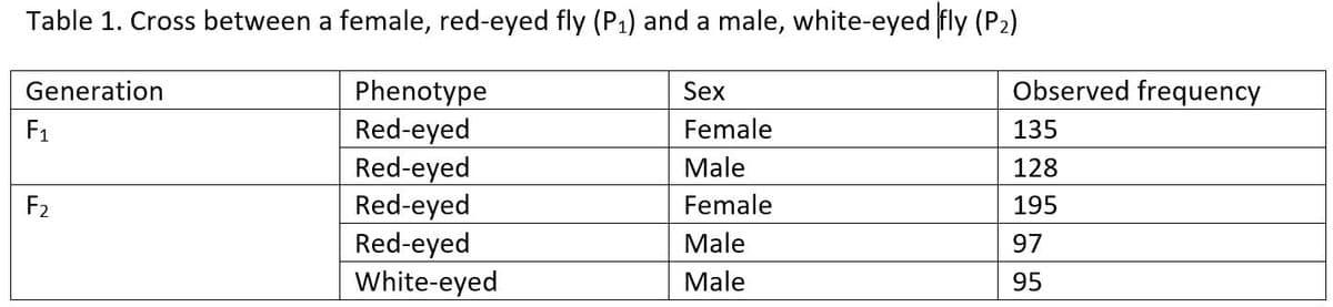 Table 1. Cross between a female, red-eyed fly (P₁) and a male, white-eyed fly (P₂)
Generation
F₁
F₂
Phenotype
Red-eyed
Red-eyed
Red-eyed
Red-eyed
White-eyed
Sex
Female
Male
Female
Male
Male
Observed frequency
135
128
195
97
95