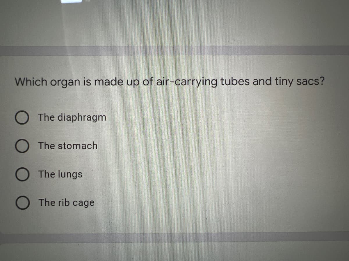 Which organ is made up of air-carrying tubes and tiny sacs?
The diaphragm
The stomach
O The lungs
The rib cage