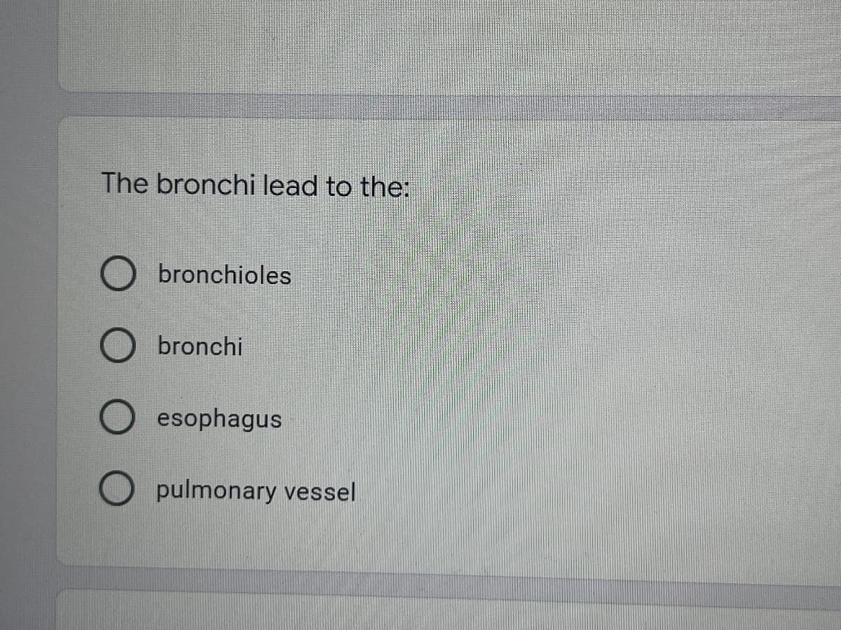 The bronchi lead to the:
bronchioles
bronchi
esophagus
pulmonary vessel