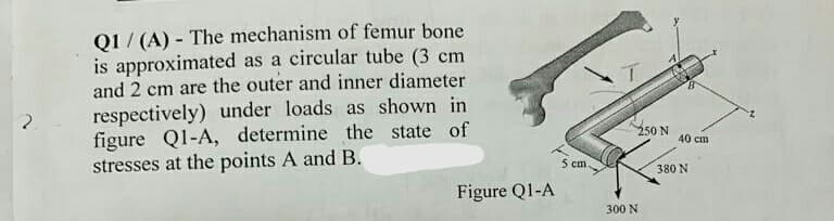 Q1/ (A) - The mechanism of femur bone
is approximated as a circular tube (3 cm
and 2 cm are the outer and inner diameter
respectively) under loads as shown in
figure Q1-A, determine the state of
stresses at the points A and B.
40 cm
5 cm
380 N
Figure Q1-A
300 N
