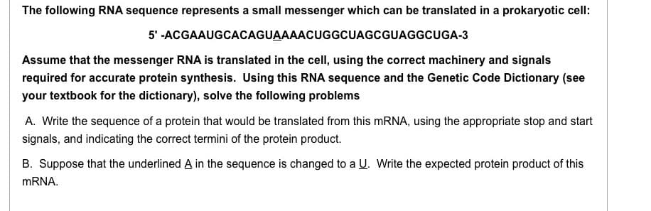 The following RNA sequence represents a small messenger which can be translated in a prokaryotic cell:
5'-ACGAAUGCACAGUAAAACUGGCUAGCGUAGGCUGA-3
Assume that the messenger RNA is translated in the cell, using the correct machinery and signals
required for accurate protein synthesis. Using this RNA sequence and the Genetic Code Dictionary (see
your textbook for the dictionary), solve the following problems
A. Write the sequence of a protein that would be translated from this mRNA, using the appropriate stop and start
signals, and indicating the correct termini of the protein product.
B. Suppose that the underlined A in the sequence is changed to a U. Write the expected protein product of this
mRNA.