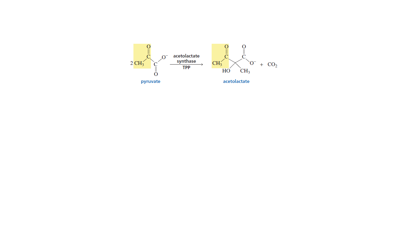 acetolactate
2 CH
synthase
CH
CO2
ТРP
HO
CH3
pyruvate
acetolactate
