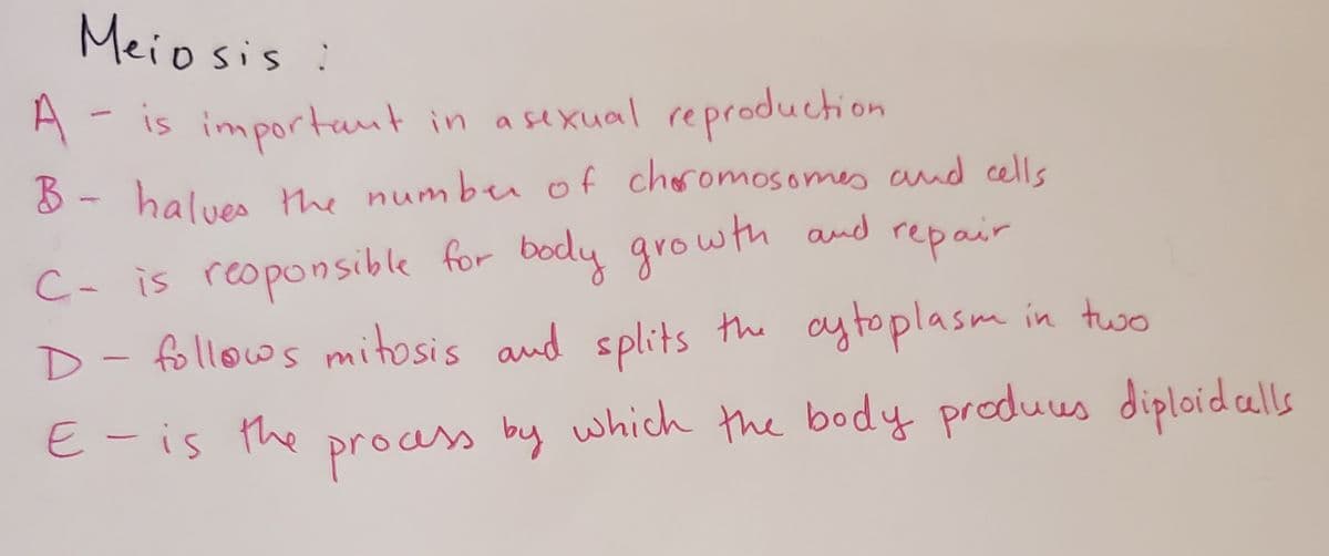 B- halues the
:
Meiosis
A- is important in
a sexual reproduction
8 - halves the numbeu of cheromosomes and cells
C- is reoponsible for body growth and repair
splits
aytoplasm in two
D- the
follows mitosis and
E -is the
ass by which the body produes diploidalls
