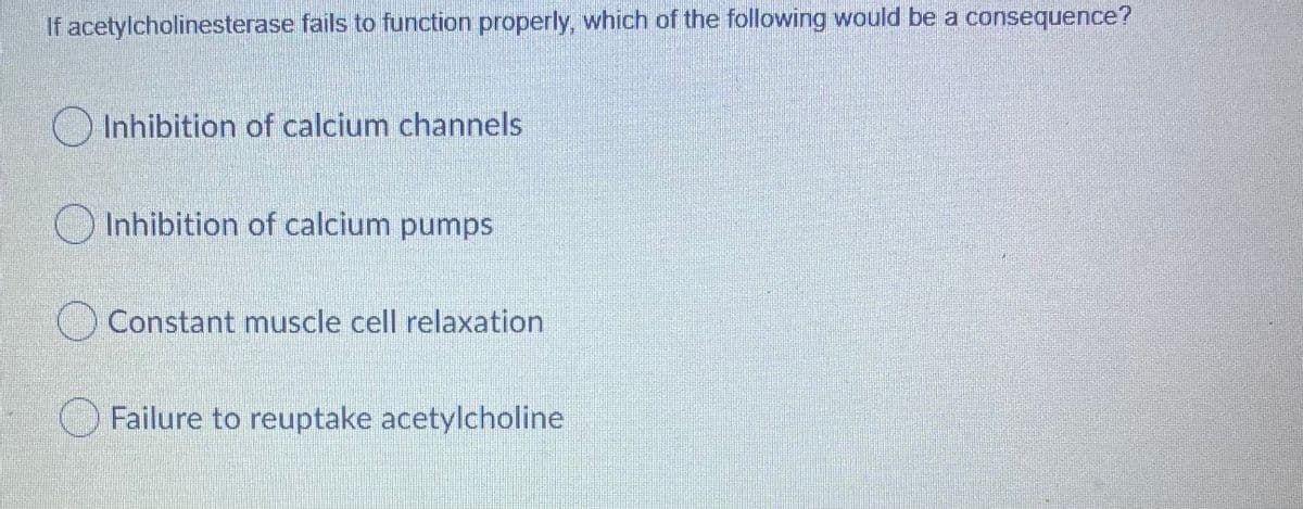 If acetylcholinesterase fails to function properly, which of the following would be a consequence?
O Inhibition of calcium channels
O Inhibition of calcium pumps
O Constant muscle cell relaxation
Failure to reuptake acetylcholine
